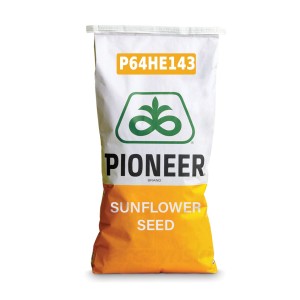 Nasiona słonecznika...