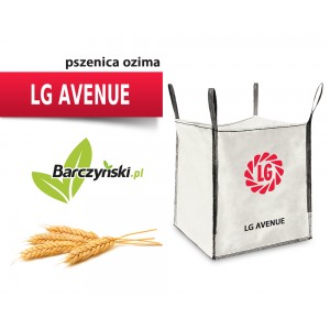 Pszenica ozima LG AVENUE