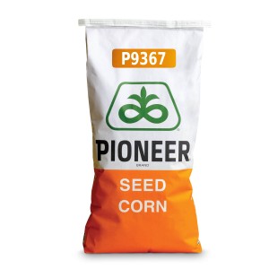 Nasiona kukurydzy Pioneer™...