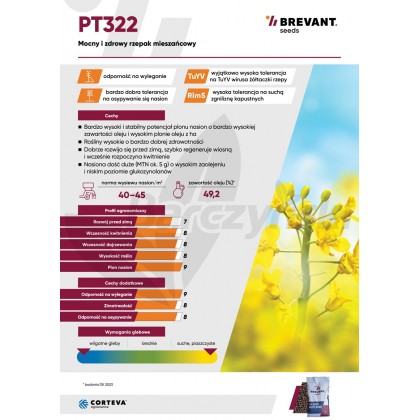 Nasiona rzepaku ozimego PT323