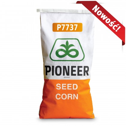 Nasiona kukurydzy Pioneer™ Odmiana P7737