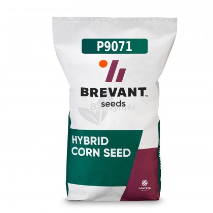 Nasiona kukurydzy BREVANT ™ Odmiana...