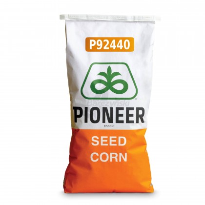 Nasiona kukurydzy Pioneer™ Odmiana...