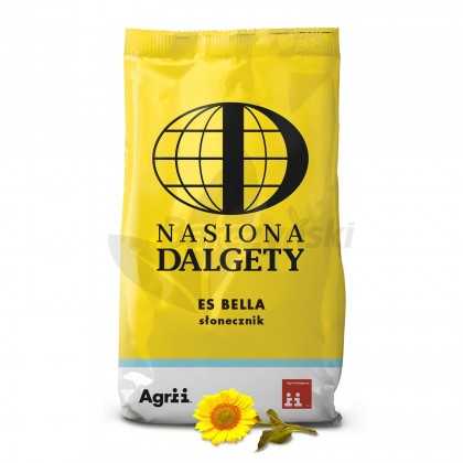 Nasiona słonecznika odmiana GERONIMO SU