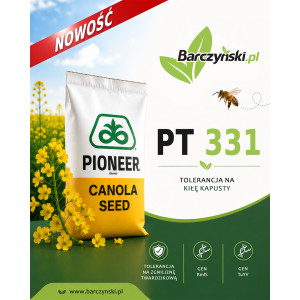 Nasiona rzepaku ozimego PT331 2