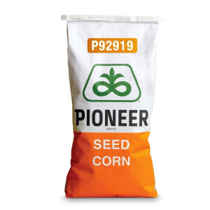 Nasiona kukurydzy Pioneer™...