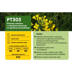 Nasiona rzepaku ozimego PT303 2