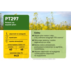 Nasiona rzepaku ozimego PT297 2