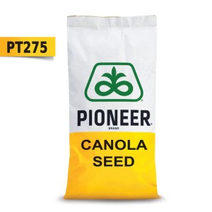 Nasiona rzepaku ozimego PT275