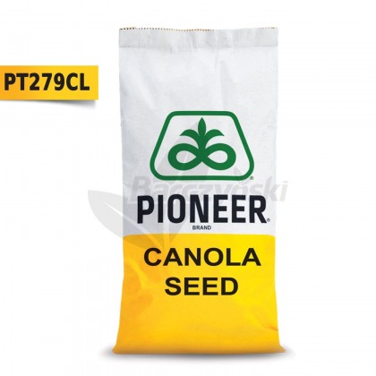 Nasiona rzepaku ozimego PT279CL