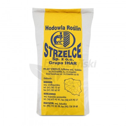 Pszenżyto ozime Meloman worki