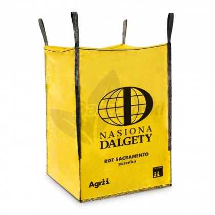 Pszenica ozima Sacramento BB 500 kg
