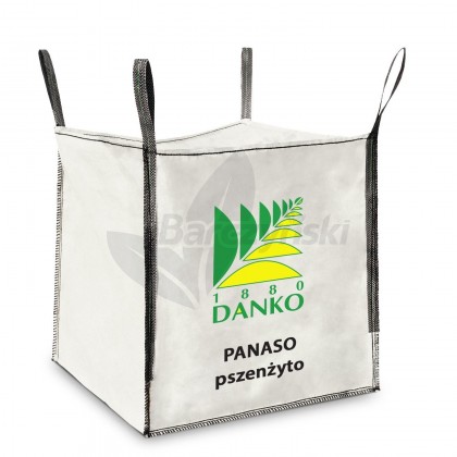 Pszenżyto ozime Panaso BB 500kg