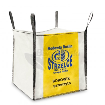 Pszenżyto ozime Borowik BB 500kg