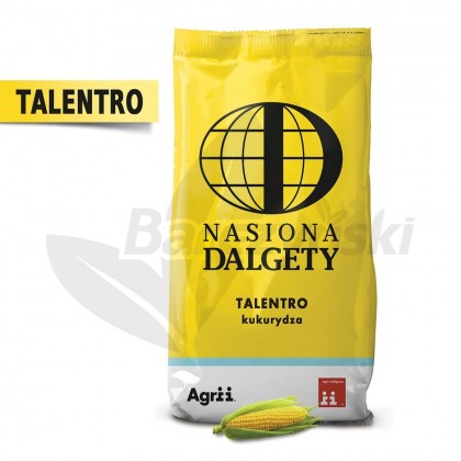 Nasiona kukurydzy Saatbau odmiana...