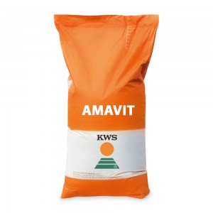 Nasiona kukurydzy KWS...